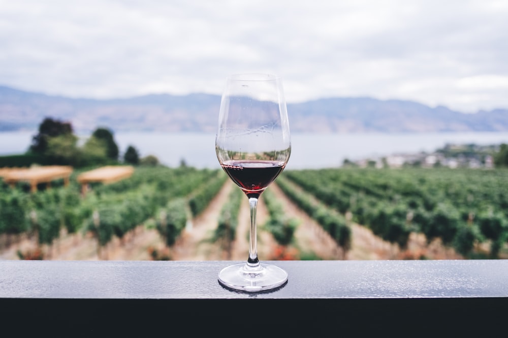 Farms, cider & wine